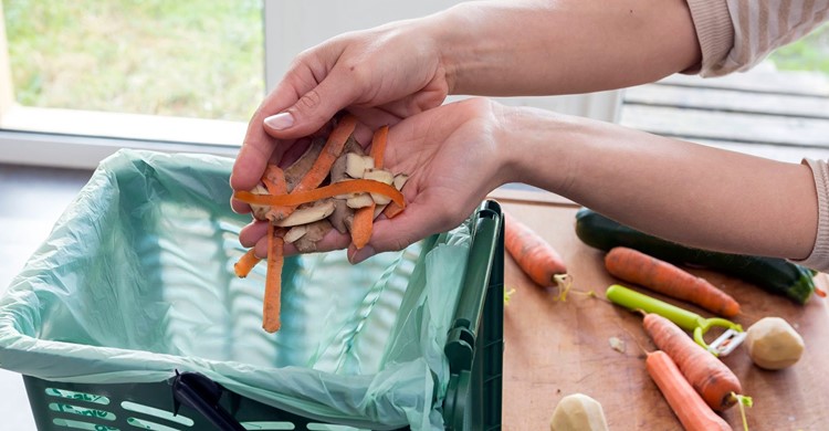 Vermont este primul stat care interzice aruncarea resturilor de alimente în coșul de gunoi.