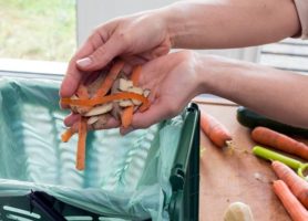 Vermont este primul stat care interzice aruncarea resturilor de alimente în coșul de gunoi.